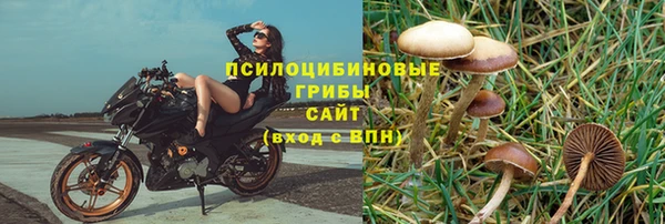 круглые Алексеевка