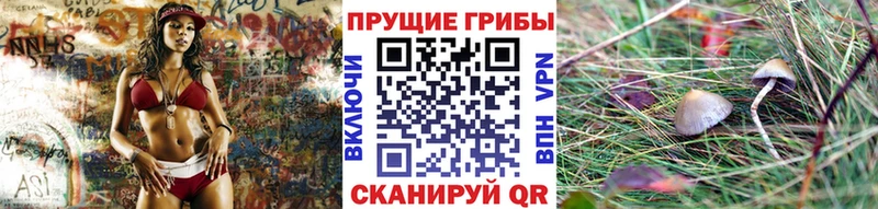 купить наркоту Игарка Галлюциногенные грибы мицелий